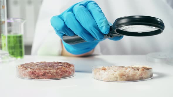 Medical Scientist Inspecting Minced Meat Wearing Protective Unform Working in Laboratory alt