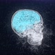 4K Plexus Skull And Brain - VideoHive Item for Sale