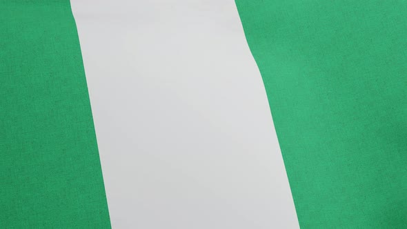 National Flag of Federal Republic of Nigeria Waving Original Size and Colors 3D Render Flag of alt