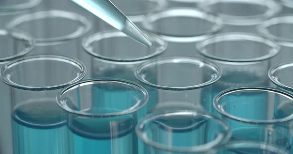 Microbiological Research alt