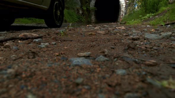 The Car Drives Into a Tunnel in the Forest