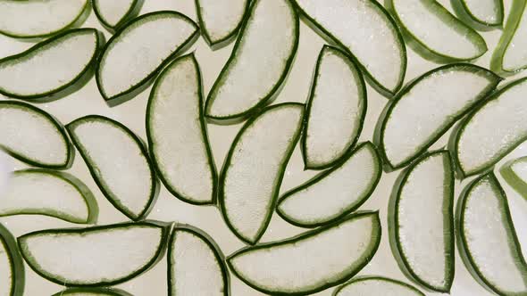 Closeup Aloe Vera Sliced Slice alt