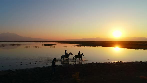 Couples Walking With Horses in Nature alt