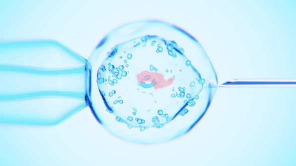 Introduction of the drug into the dna cell. alt