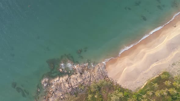 Top view beach with coconut palm trees at tropical sea Summer vacation alt