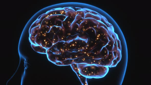 Powerful Mind Brain X-Ray alt