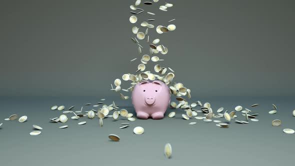 More coin fall in a piggy bank on a grey background