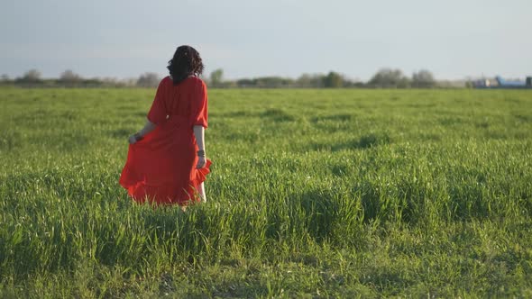 Beautiful Young Woman in a Red Dress Walks in a Green Wheat Field at Sunset or Dawn alt