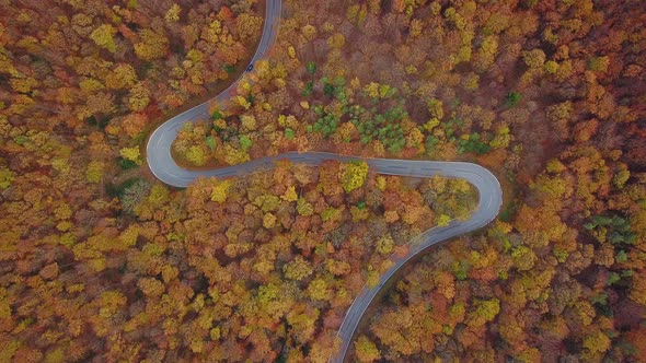 Colorful Autumn Aerial Shot With Road