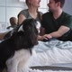A Loving Couple of European Appearance Sits on a Bed in a Cozy Modern Room with Their Beloved Dog - VideoHive Item for Sale