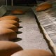 Hot Steaming Bread Out of the Oven at the Bakery. - VideoHive Item for Sale