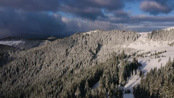 Flying over Forest in Winter Season. Beautiful Aerial Landscape. Stormy Clouds alt