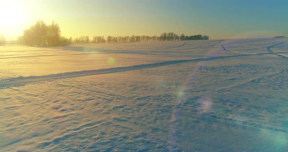 Aerial Drone View of Cold Winter Landscape with Arctic Field, Trees Covered with Frost Snow and alt