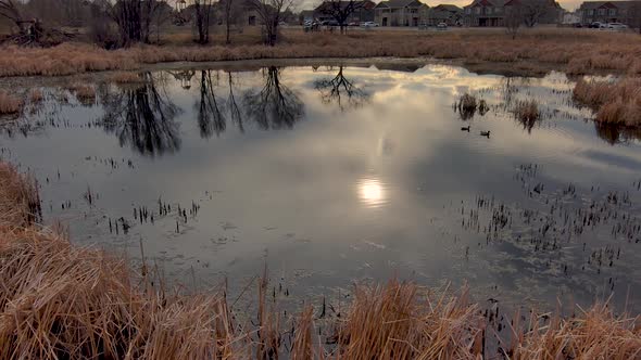 A couple of ducks swim in the romantic late afternoon reflections of this urban pond while children alt
