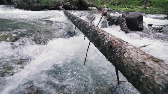 Mountain River with Rocks in Wood Slow Motion Footage Dolomites South Tyrol Italy alt