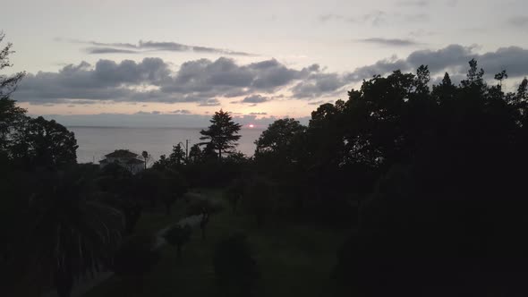 Aerial view of Green cape and Botanical garden of Batumi at sunset. Georgia 2021 alt