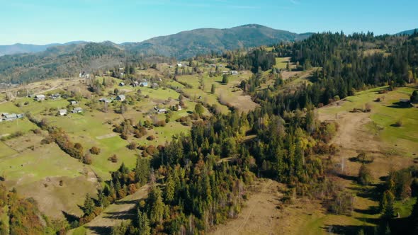 Aerial View Small Houses Surrounded Pine Forest alt