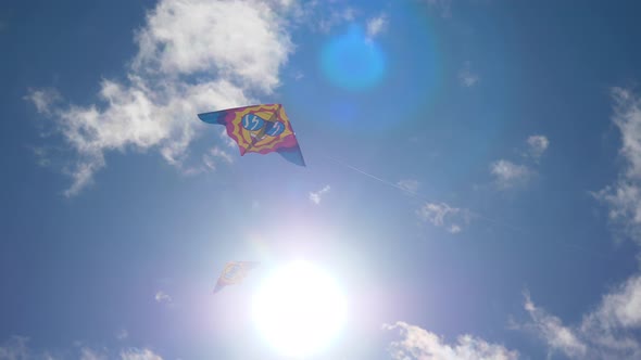 Kites In The Sky alt