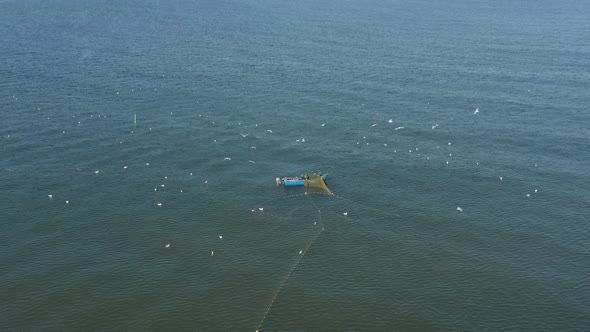 AERIAL: Fishermans Casting Nets in the Sea with Gulls Flying Around Searching for a Fish