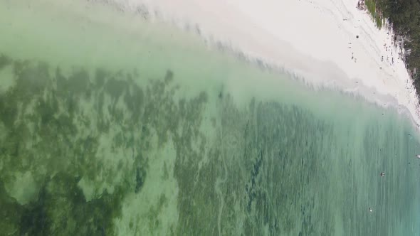 Zanzibar Tanzania  Vertical Video of the Ocean Near the Coast Slow Motion alt