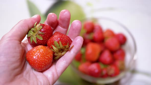 Female Hand Holding and Rotating Three Ripe Red Strawberry Taken From a Bowl alt