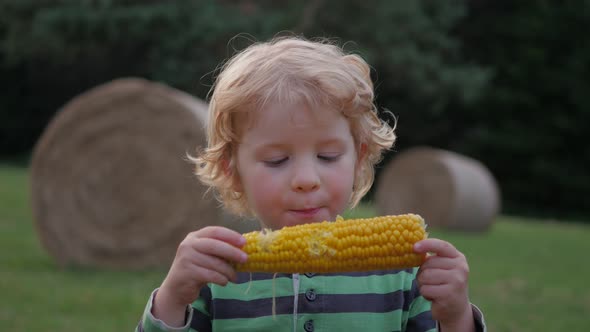 Young Blonde Child with Curly Hair Eating Corn on the Cob