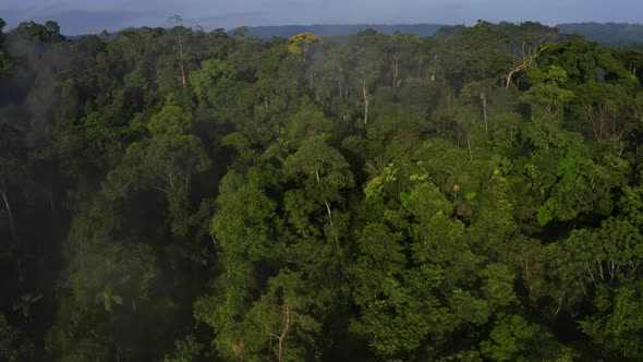 Aerial view of the canopy covering a mountain ridge in a tropical forest alt