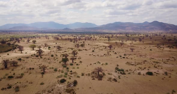 4K Flying above a dry Savannah during drought season in Tanzania, East Africa alt