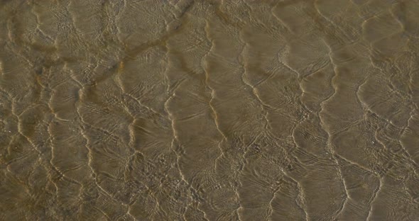 Water and Drought in the Marshes of Camargue, in the South East of France, Real Time 4K alt