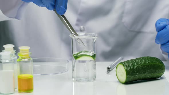 Medical Scientist Specialist Putting a Piece of Cucumber in Flask Adding Solution in Food Laboratory alt