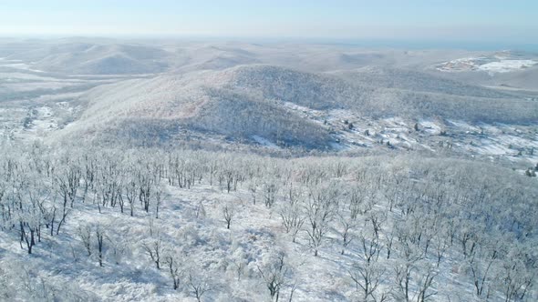 Aerial View of a Frozen Forest with Snow Covered Trees at Winter alt