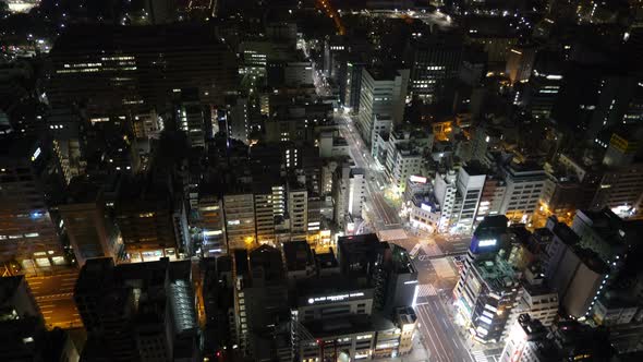 Tokyo City from Above