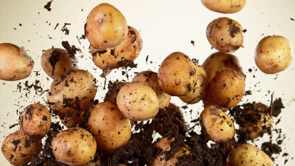 Super Slow Motion Shot of Flying Potatoes with Soil at 1000 Fps alt