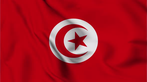 Tunisia flag seamless closeup waving animation