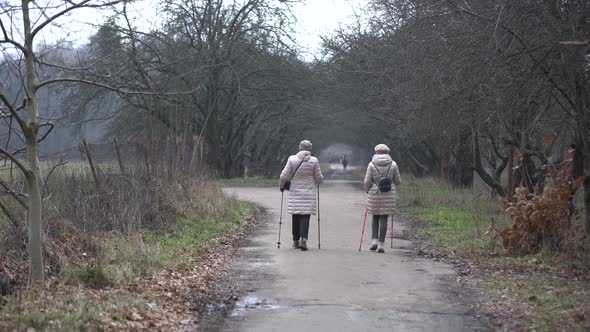 People Walk Gloomy Park in January