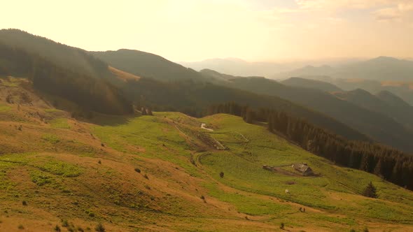 Carpathian Mountains Landscape in Summer alt
