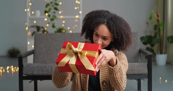 Attractive Stylish African American Girl with Afro Curly Woman Cool Hairstyle Laughing Sitting at alt