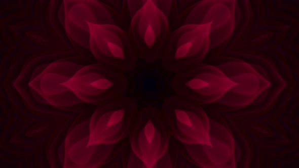 Red Plant Like Organic Kaleidoscope Hypnotic Vj Loop alt