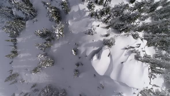 Overhead Aerial On Summit Of Forest Mountain Ridge With Fresh Powder Snow On Sunny Day alt