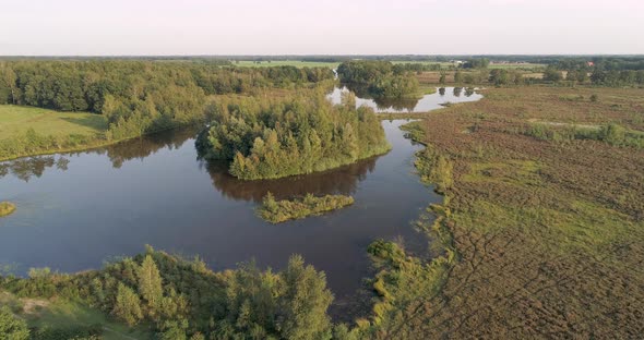 Aerial view of lake with small island full of trees. alt