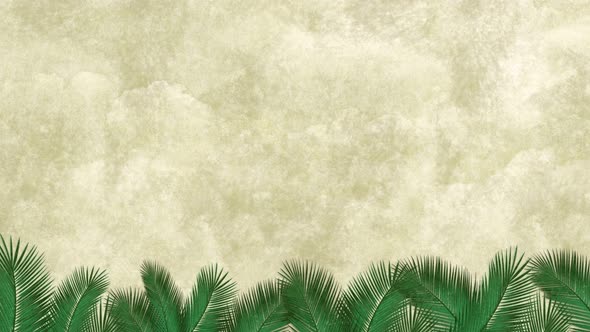 Palm leaf on desert background