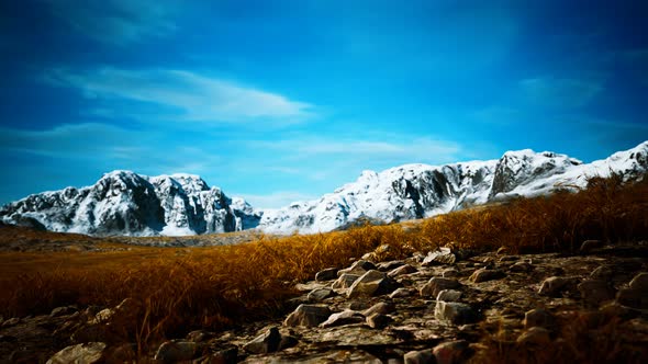 Dry Grass and Snow Covered Mountains in Alaska alt