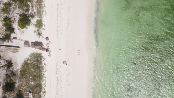 Boats in the Ocean Near the Coast of Zanzibar Tanzania alt