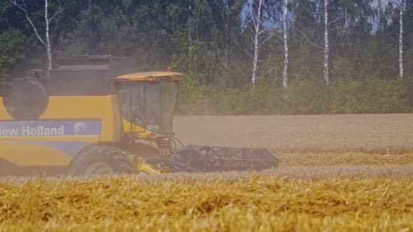 Combine Working At Harvest Time. Combine harvester during the wheat harvest alt