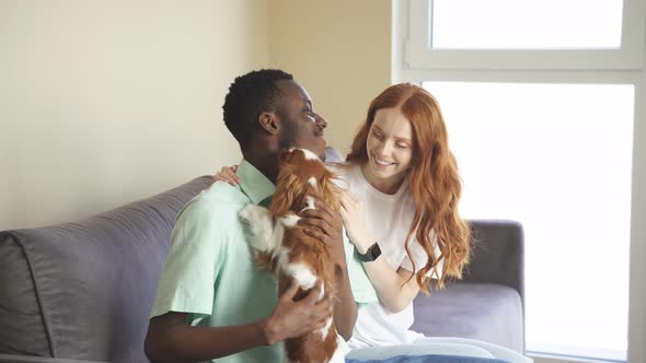 An Attractive Redhaired Woman and a Darkskinned Young Man are Hugging Their Favorite Pet While alt