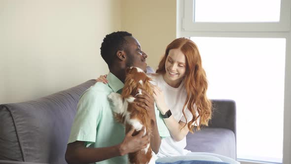 An Attractive Redhaired Woman and a Darkskinned Young Man are Hugging Their Favorite Pet While