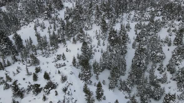 Drone Snowspace Footage alt