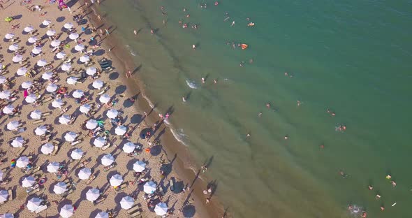 Aerial Drone View of Summer Beach