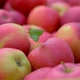 Lot of red apples - VideoHive Item for Sale
