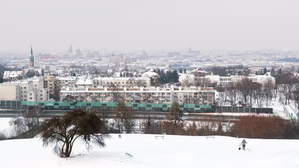 View From Kopiec Krakusa  Man Walking with His Dog On The Snowy Landscape alt